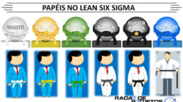 Papéis e funções dentro do Lean Six Sigma