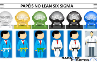 Papéis e funções dentro do Lean Six Sigma