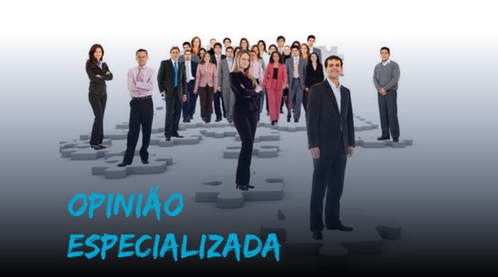 O que é opinião especializada (PMBOK)?