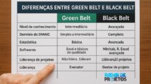 Diferenças Entre Green Belt e Black Belt no Lean Six Sigma